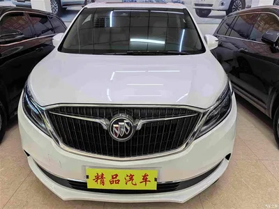 2017 Buick GL8 ES 28T Luxury China V, фото 2, лот 10251432
