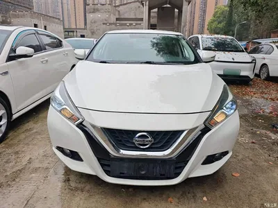2019 Nissan Bluebird 1.6L Manual Cool Edition China VI, фото 3, лот 10347683