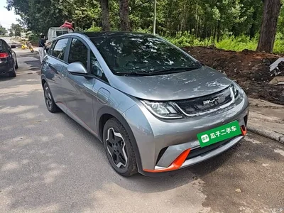 2021 BYD Dolphin Model 405km Fashion Edition, фото 4, лот 10264145