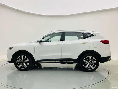 2023 Haval H6 National Trend Edition 1.5T Automatic Champion, фото 4, лот 10297111