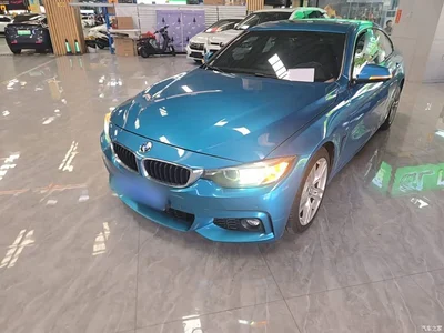 2017 BMW 4 Series 425i Gran Coupe Leading M Sport Package, фото 2, лот 10468804