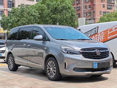 2020 Buick GL8 Model Land Business Class 652T Luxury, фото 3, лот 11136397
