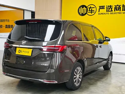 2021 Buick GL8 Land Business Class 652T Comfort, фото 4, лот 11006876