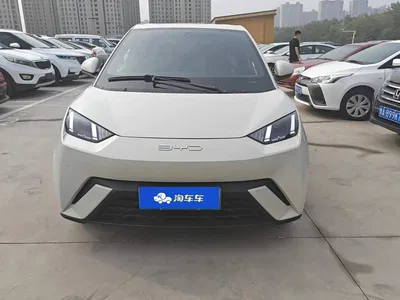 2023 BYD Seagull Freedom Edition, фото 3, лот 11132661