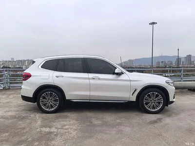 2018 BMW X3 xDrive28i Luxury Package China VI, фото 4, лот 10461712