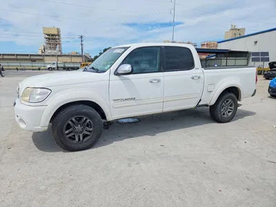 2004 TOYOTA TUNDRA SR5, фото 1, лот 10982220