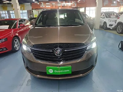 2020 Buick GL8 Land Business Class 652T Premium, фото 3, лот 10258720