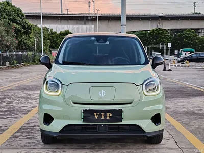 2022 Leapmotor T03 Star Diamond Edition, фото 2, лот 11203064