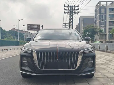 2025 Hongqi H5 2.0T Automatic Flag Celebration 500,000 Units Anniversary Edition, фото 2, лот 10286361
