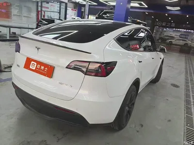 2024 Tesla Model Y Long Range AWD, фото 2, лот 10506878