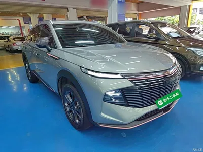 2022 Haval Shenshou 1.5T Smart Enjoyment Edition, фото 4, лот 10284240