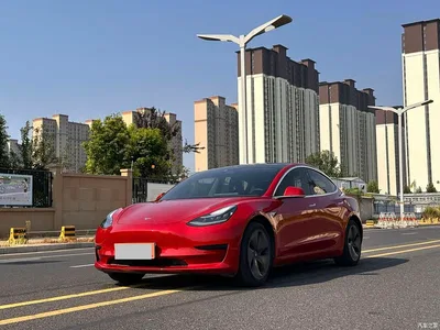 2020 Tesla Model 3 Standard Range Rear-Wheel Drive Upgrade, фото 1, лот 10285125