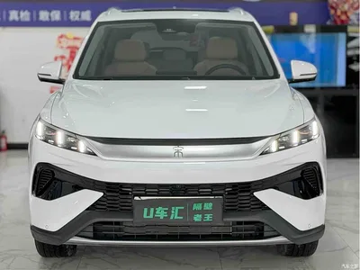 2025 BYD Song Pro New Energy 2nd Gen DM-i 75KM Surpass, фото 2, лот 10273320