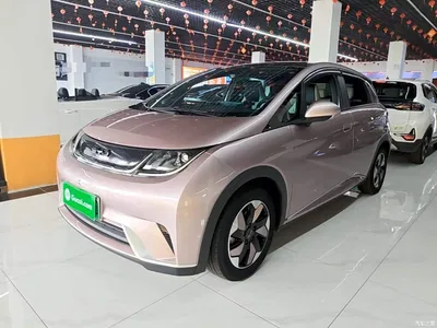 2024 BYD Dolphin Glory Edition 420km Fashion Edition, фото 1, лот 10765456