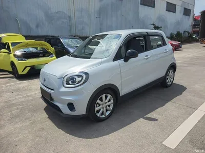 2022 Leapmotor T03 Pearl Edition, фото 1, лот 10445849