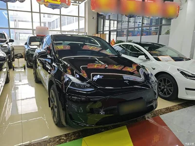 2023 Tesla Model Y Rear-Wheel Drive Edition, фото 4, лот 10369868