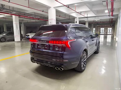 2024 Lynk & Co 09 2.0T 4WD Global Version 7-seater, фото 2, лот 10313482