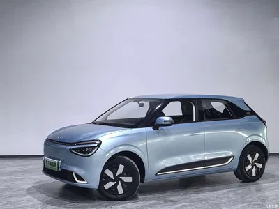 2024 Dongfeng Yipai Nano 01 330 Air, фото 1, лот 10835132