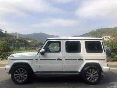 2019 Mercedes-Benz G-Class Facelift G 500, фото 2, лот 10258161