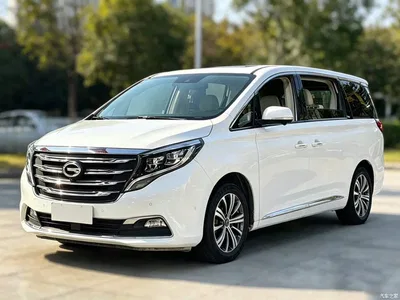 2018 GAC Trumpchi Trumpchi M8 320T Flagship Edition, фото 3, лот 10423879