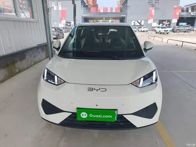 2025 BYD Seagull Smart Drive Edition 305km Freedom Version, фото 3, лот 10262825
