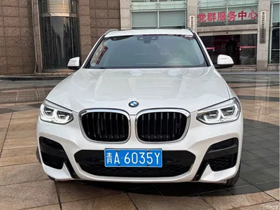2021 BMW X3 xDrive25i M Sport Package, фото 2, лот 11241854