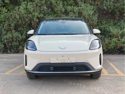 2025 Wuling Motors Wuling Bingo S Model 325km Flagship Edition, фото 2, лот 11584908