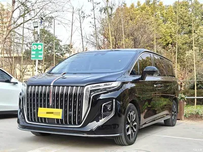 2023 Hongqi HQ9 2.0T Smart Connect Flag Enjoy Edition, фото 1, лот 10671271
