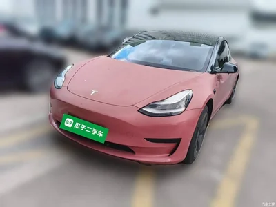 2020 Tesla Model 3 Standard Range Rear-Wheel Drive Upgrade, фото 1, лот 10464010