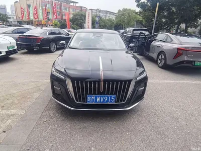 2025 Hongqi H5 2.0T Automatic Flag Celebration 500,000 Units Anniversary Edition, фото 2, лот 10288139