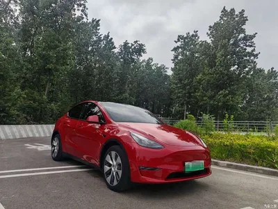 2021 Tesla Model Y Standard Range Rear-Wheel Drive, фото 3, лот 10444609