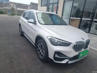 2021 BMW X1 sDrive20Li Exclusive, фото 4, лот 10467271
