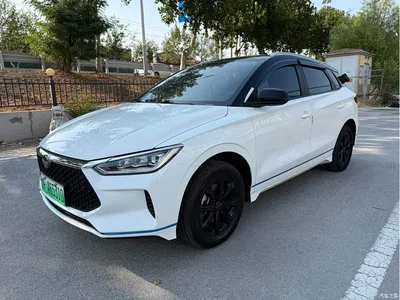 2021 BYD e2 Luxury Edition, фото 1, лот 10632349