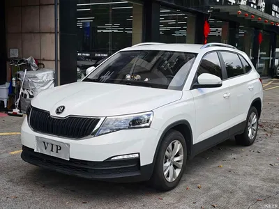 2021 Škoda Kamiq 1.5L Automatic Standard, фото 1, лот 10349395