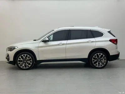 2022 BMW X1 xDrive25Li Premium, фото 3, лот 11566010