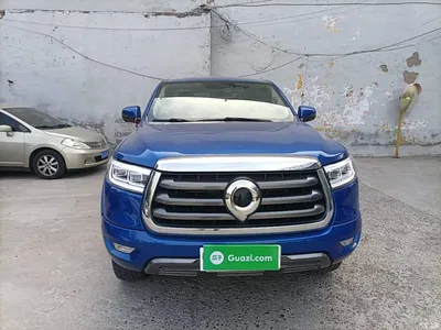2021 Great Wall Pao 2.0T Passenger Global Edition Automatic Gasoline 2WD Comfort Standard Box GW4C20B, фото 3, лот 10675239