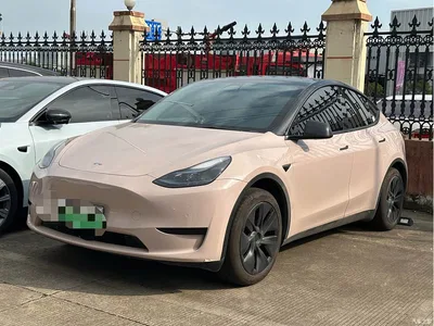 2023 Tesla Model Y Rear-Wheel Drive Edition, фото 1, лот 10829196