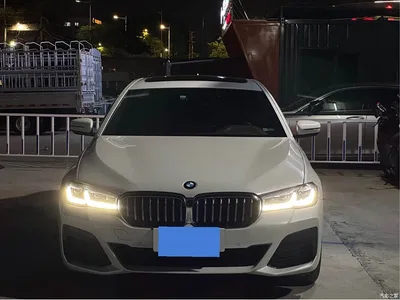 2021 BMW 5 Series 530Li Leading M Sport Package, фото 2, лот 11111052