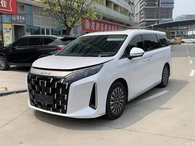 2025 BYD M9 Model 1060 Pilot Edition, фото 1, лот 11146226