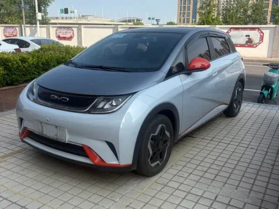 2021 BYD Dolphin Model 405km Fashion Edition, фото 1, лот 10397829