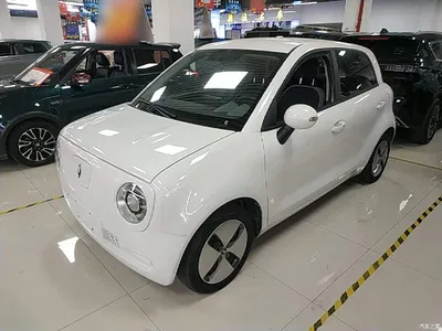 2022 Ora Black Cat 301km Cute Pet Edition (LFP), фото 1, лот 10888818