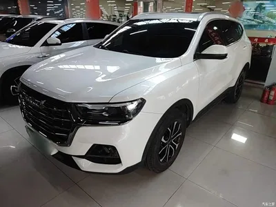 2021 Haval H6 National Trend Edition 1.5T Automatic Urban Edition, фото 2, лот 10334318
