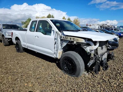 2024 FORD F150 XL, фото 4, лот 11578879