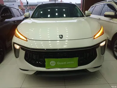 2021 Dongfeng Fengxing T5 EVO 1.5TD DCT Diamond Edition, фото 3, лот 11158852