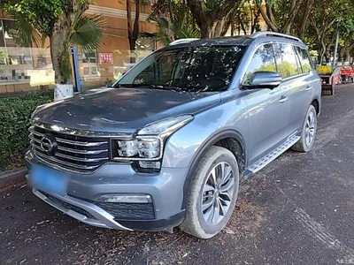 2017 GAC Trumpchi Trumpchi GS8 320T 2WD Luxury Smart Connect (7-seater), фото 1, лот 10422622