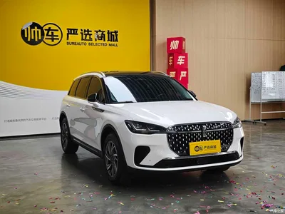 2023 Lincoln Adventurer 2.0T 2WD Zunxiang Edition, фото 2, лот 11134584