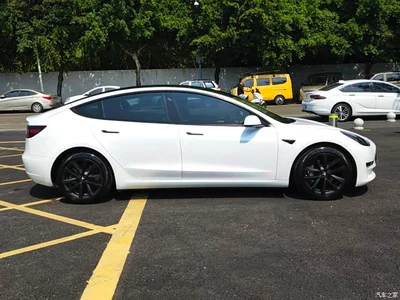 2021 Tesla Model 3 Standard Range Rear-Wheel Drive Upgrade, фото 3, лот 10399264