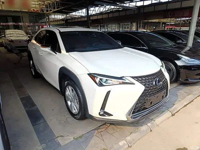 2020 Lexus UX 260h Explore Fun Edition, фото 4, лот 10319195