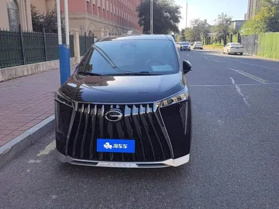 2023 GAC Trumpchi Trumpchi M8 Model Master Series 400T Flagship Edition, фото 2, лот 10416773