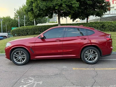 2020 BMW X4 xDrive25i M Off-road Package, фото 3, лот 10476896
